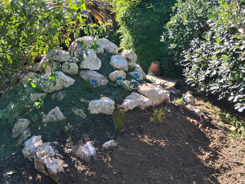 Création de bassins d'ornement à Toulouse : Ambiance zen et relaxante