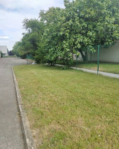 Lacoste Paysagiste : Votre partenaire pour l'entretien des parcs et jardins des professionnels à Toulouse