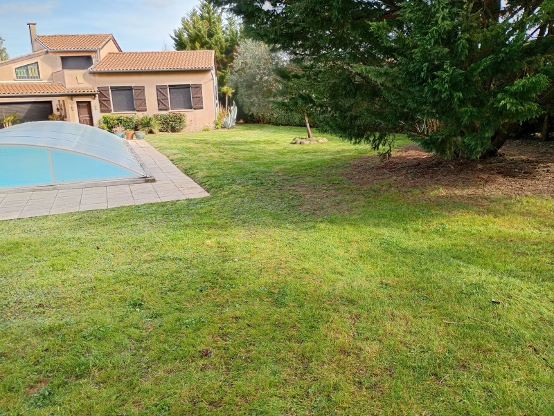 Gazon verdoyant à Toulouse : L'art de la tonte et de l'entretien pour un jardin impeccable