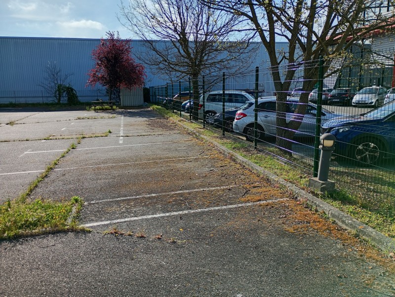 Pose d'un grillage rigide secteur Thibault.