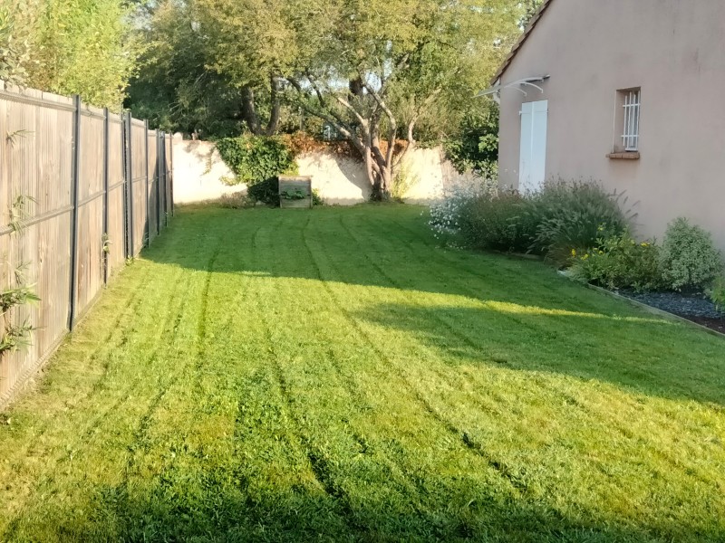 Gazon verdoyant à Toulouse : L'art de la tonte et de l'entretien pour un jardin impeccable