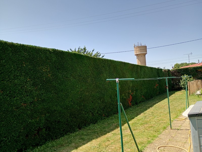 Entretien de jardin à Balma (31130) : des solutions sur mesure pour préserver la beauté de vos extérieurs