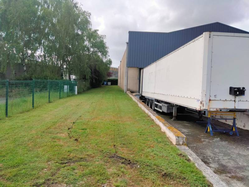 Entretien des extérieurs pour établissements professionnels à Saint-Alban et Toulouse : parking, haies et pelouses valorisées