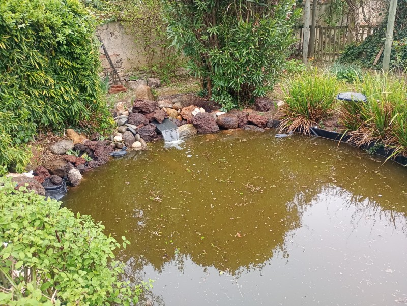 Entretien et rénovation de bassin de jardin à Toulouse et en Haute-Garonne