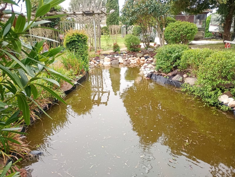 Aménagement d’un bassin de jardin avec enrochement et cascade - Projet paysager à Toulouse