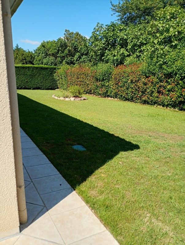 Gazon verdoyant à Toulouse : L'art de la tonte et de l'entretien pour un jardin impeccable