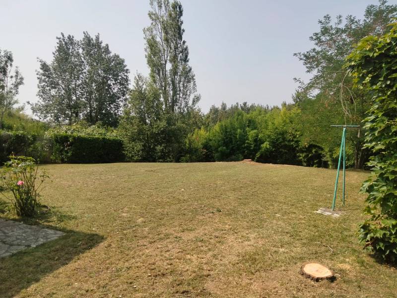 Entretien des extérieurs pour établissements professionnels à Saint-Alban et Toulouse : parking, haies et pelouses valorisées