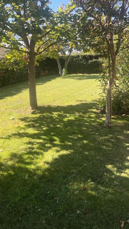 Gazon verdoyant à Toulouse : L'art de la tonte et de l'entretien pour un jardin impeccable