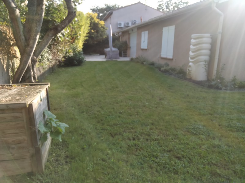 Gazon verdoyant à Toulouse : L'art de la tonte et de l'entretien pour un jardin impeccable