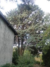 Nos prestations sur le secteur de Tournefeuille, 31170 Haute-Garonne